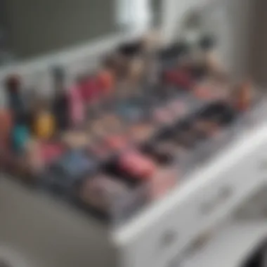 Colorful array of makeup products neatly arranged in an organizer